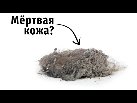 Видео: Пыль - это плесень?