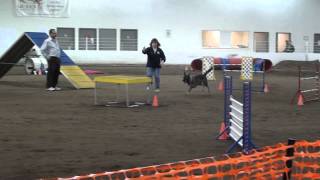 Zara Ex Std 112711 Qq1.Mts