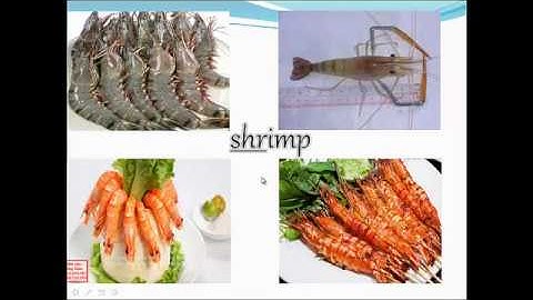 Unit 11: SOURCES OF ENERGY   E  Language focus (Môn Anh văn 11 hệ 7 năm)