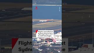 Staff shortages in Sydney air traffic control force airlines to cancel flights