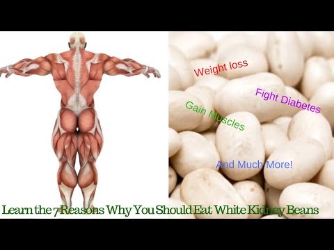 White Kidney Beans Benefits 7 Reasons Why You Should Eat White Kidney Beans Regularly