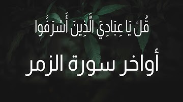 قُلْ يَا عِبَادِيَ الَّذِينَ أَسْرَفُوا | تلاوة هادئه لأواخر سورة الزمر