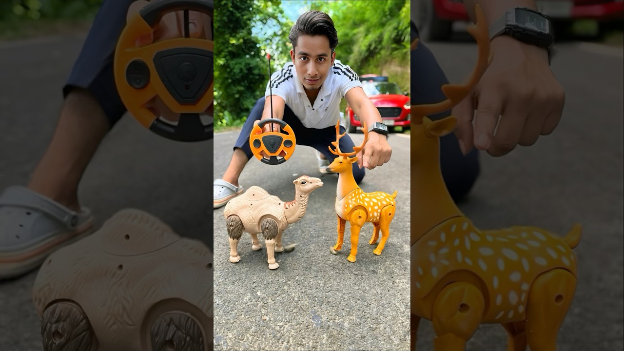 Amr Camel And Rc Deer Ki Unboxing🔥