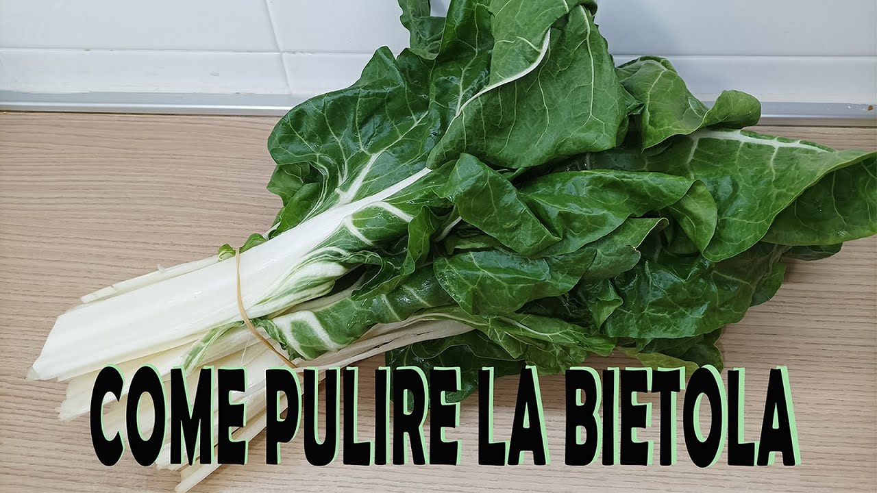 Come pulire la bietola