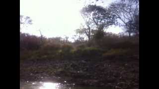 Lake Suchitlan - Suchitoto, El Salvador