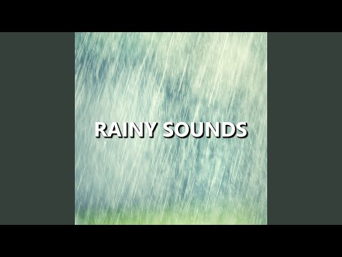 Exquisite Sunrise Rainfall Sounds