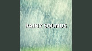 Exquisite Sunrise Rainfall Sounds