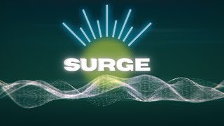 Surge Morphic Field Zero Point Field Interface