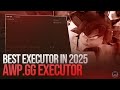 [GUIDE] 2025 AWP ROBLOX EXECUTOR TUTORIAL