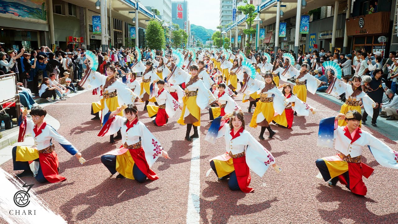 8K】早稲田大学 東京花火『彩の輪』（湘南よさこい祭り/ Tokyo Hanabi