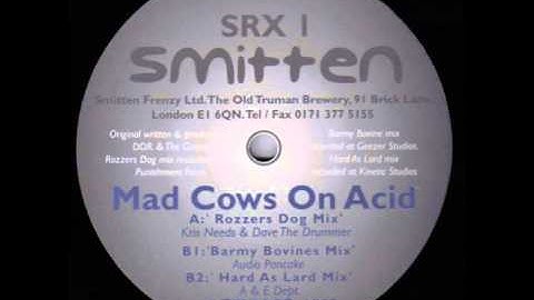 DDR & The Geezer - Mad Cows On Acid (Barmy Bovines Mix) (B1)