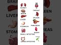 internal organs of human body Mp3 Song