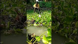 #short #part 2#bigfishing / Sushil water in the catching Bigfish pond /