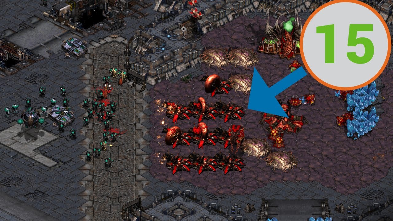 Zerg vs Terran of the YEAR!
