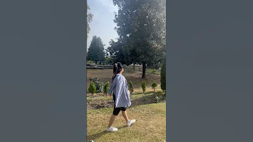 O Jaana Na Jana Travel Nature Love Mountains Song Shorts Viralshorts Like Trending Leh 