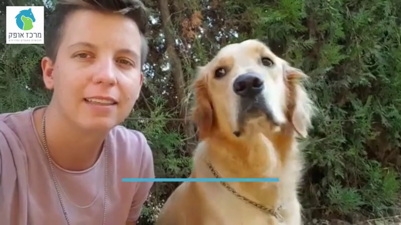 הלימודים במרכז אופק....