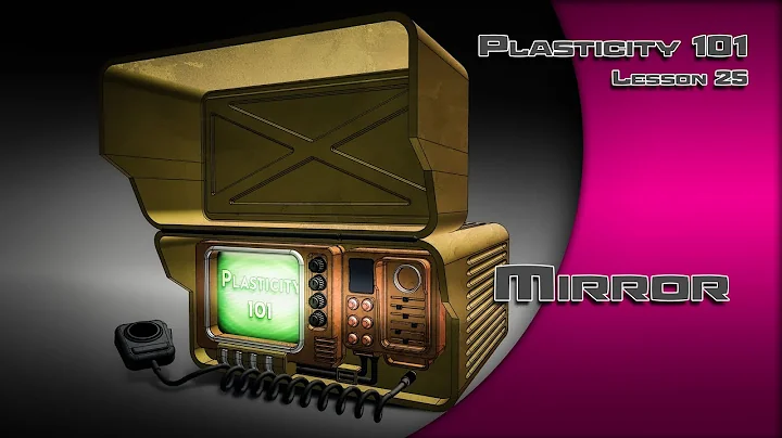 25 PLASTICITY 101 MIRROR