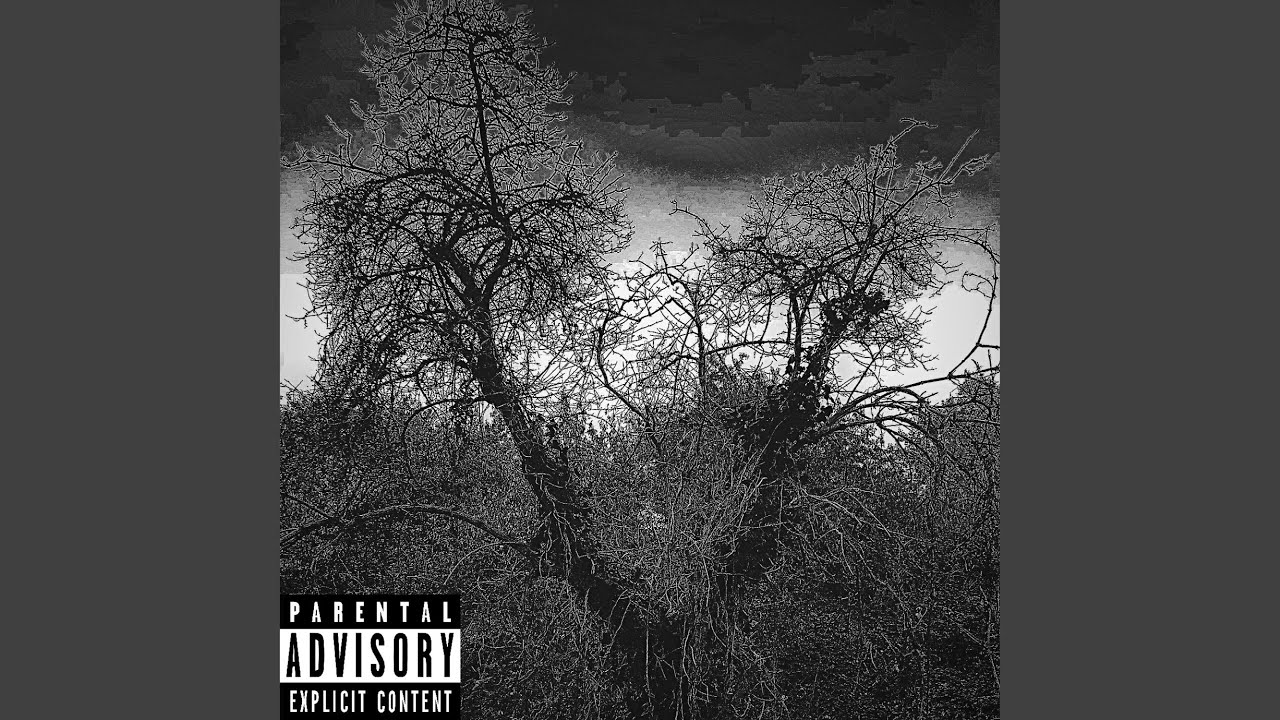 Watch Dancing Trees on YouTube Watch Dancing Trees on YouTube