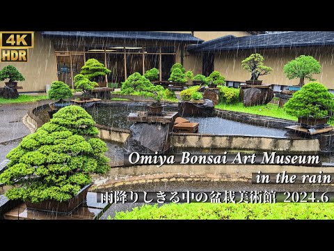 Enjoy Japan - YouTube