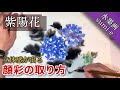 【水墨画】顔彩で紫陽花を描く方法/描き方 how To draw sumi-e Hydrangea