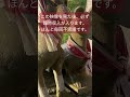 速報⚠️この動画に出会ったらなぜか大きな臨時収入が入ります。#shorts #パワースポット神社 #旅行 #金運上昇 #臨時収入 #大開運 #遠隔参拝 #運気アップ #ご利益 #神様 #リモート参拝