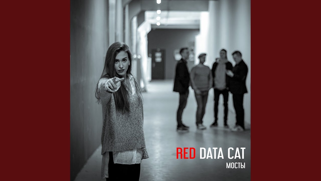 red data cat