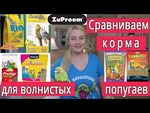 Видео: Что хорошего для волнистых попугайчиков?