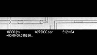 ARAbate, flow-focus drop formation with SVM