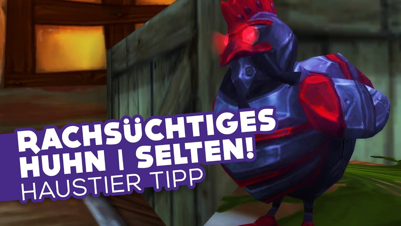 Rachsuchtiges Huhn Selten Haustier Tipp Wow Youtube