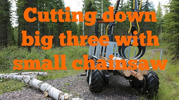 Logbullet | Getting firewood with Stihl MS200 and Husqvarna 560 XP