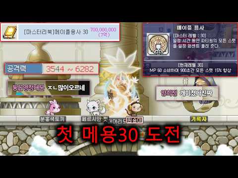 시조쌀먹장인 유진 메용30 지르기