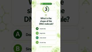 What is the shape of the DNA molecule? #learnbiology #biology #cellbiology #medstudent #science