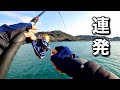 一発逆転を狙う真冬の堤防釣りはラストの一投まで気が抜けない
