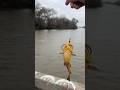 WHAT KIND OF CALIFORNIA CATFISH IS THIS?
