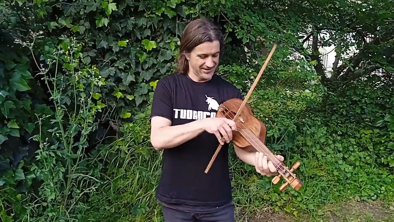 Rabel / bandurria tudanco