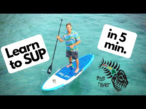 Video: A Beginner's Guide to Stand-Up Paddleboarding