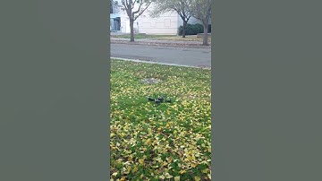 [Running script on mission planner] landing without PI controller (complete)