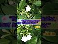 Motivation quotes #vlogs #kiran #myvideo #reels #quotes #motivation