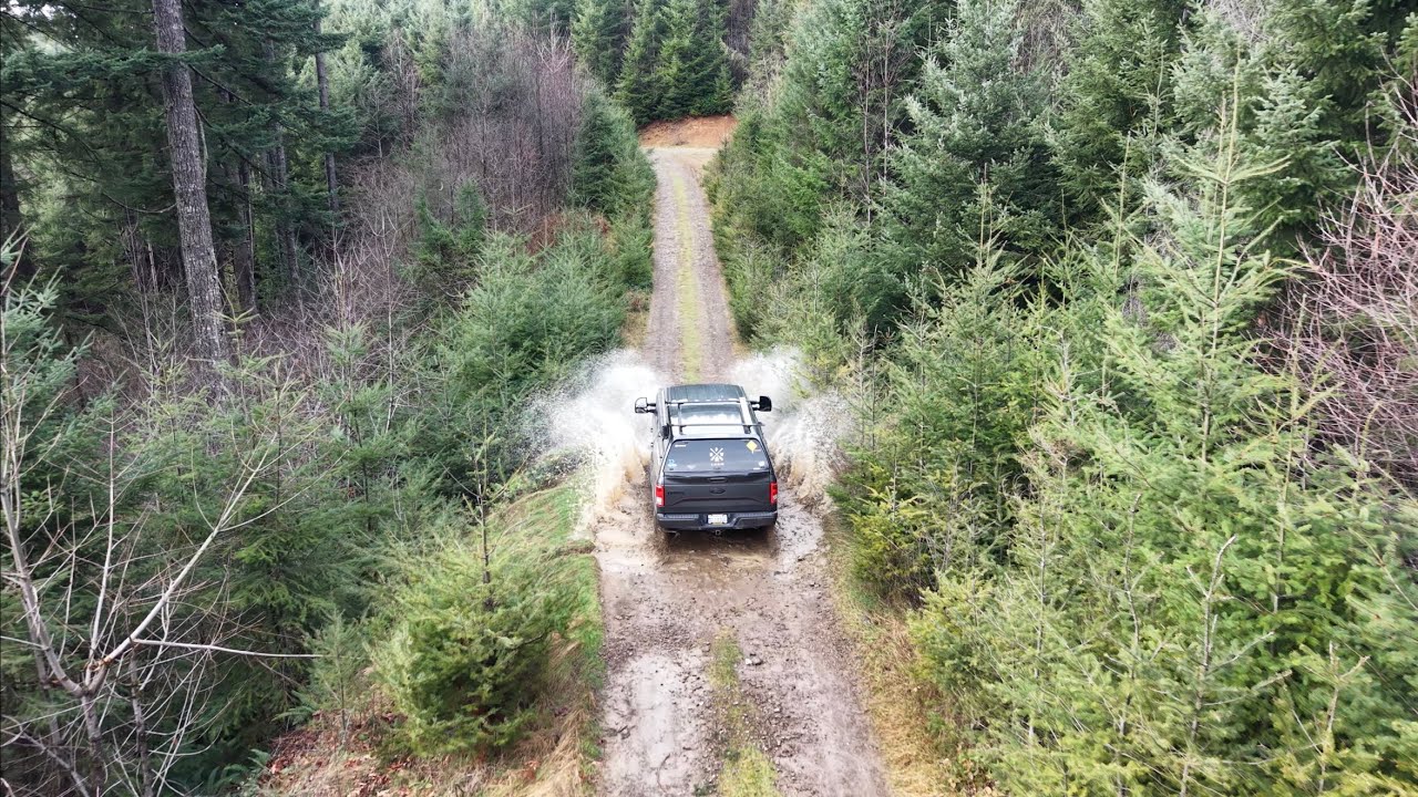 Sunny Drive in the PNW