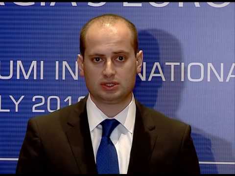 ვიზალიბერალიზაციასთან დაკავშირებით პროცესები მიმდინარეობს დაჩქარებული ტემპებით - მიხეილ ჯანელიძე