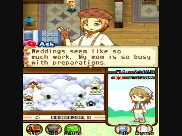 harvest moon tale of two towns bachelor ash