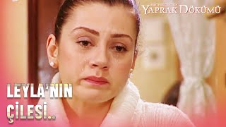 Leyla, Neclanın Mektubunu Okudu - Yaprak Dökümü 51. Bölüm