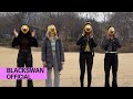 Bplayer blackswan player  spring camp ep1