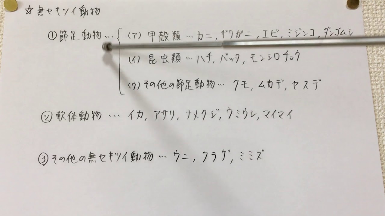 節 無 を 動物 ミミズ な という の 何 よう セキツイ 足 で ない もの に 動物 が