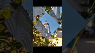 new Jagannath Status tranding insta reel #jagannath #trending #viral #shorts