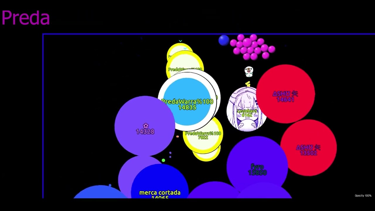 preda x asl senpa highlights - senpa.io