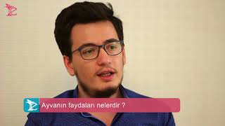 Ayvanın Faydaları Nelerdir ? Diyetisyen: Burak YILDIZ