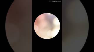 The Only Exception Meme I Guess Youtube