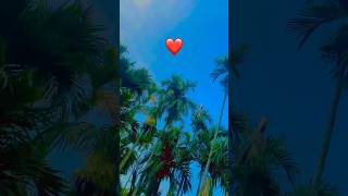 hand dance♥️#short #shortvideo #1000subscriber #fpy #railway #popular