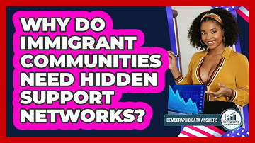 Why Do Immigrant Communities Need Hidden Support Networks? - Demographic Data Answers